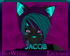 +BW+ Jacob's Ears