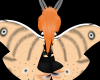 H! Moth wings v3