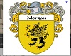 morgan banner