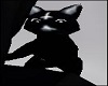 Unholy BLack Cat