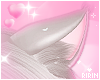 Capu Kitty Ears