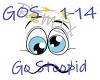 Go Stoopid (REMIX)
