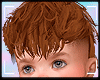 Mullet Ginger v2