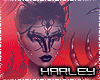 !Dragon SlayerBundle RL