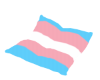 TransGender Pillow