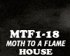 HOUSE-MOTH TO A FLAME