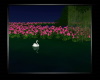 [D]Date Night Swans