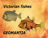 2 victorian fish fillers