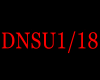 Song-Dansul Iubirii