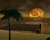 VENUS Night Beach