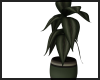 House Plant ~ Olive Pot