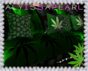 Weed Sofa