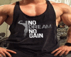 No Dream No Gain