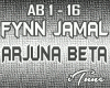 Fynn Jamal - Arjuna Beta