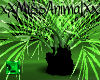 Miss Animal Plant shine