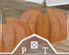 Pumpkin Set Centerpiece