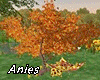 *A* Autumn A2 Tree Swing