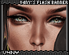 V4NY|V4NY Flash Banner