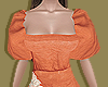 Orange Breeze Sleeves