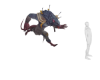 Ratman Fantasy