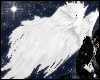 Angel Wings - Animated