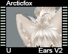 Arcticfox Ears V2