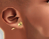 Bullet Earrings