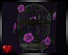 *VG* Twilight Rose Cage