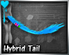 D~Hybrid Tail: Blue M/F
