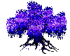 Purple Passion Willow