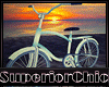 !SC_Bicycle_Couples 1