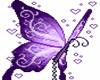 Butterfly purple [TNR]