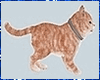 Kawaii Cat Animated