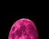 Pink Moon Dome
