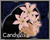 [CV] 3 Pink Lilies - R