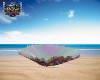 KICK UP SAND SHELL 1