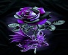 Purple Rose Room