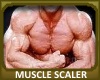 Muscle Scaler