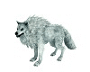 White Wolf w Howl