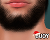 𝗕. Asteri Beard