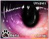 [Pets] Ailva | eyes v2
