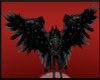 Black large wings (M/F)