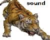 sound animated tiger