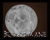 Planetary Moon