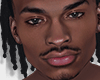 TAEDON Head | Asteri