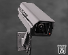 Mayð§CCTV Ani MC