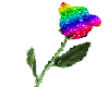 Rainbow glitter rose