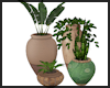 Plant Grouping ~