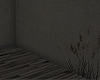 FLOWERS UNDER BED