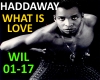 HADDAWAY- WHAT IS LOVE